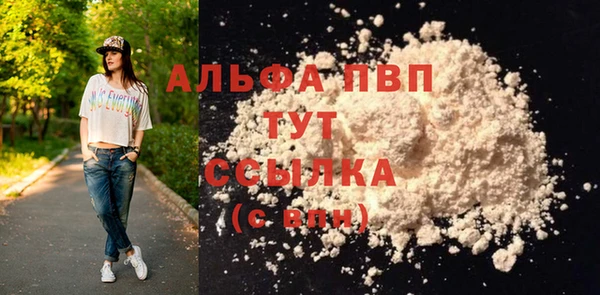 прущие грибы Белоозёрский