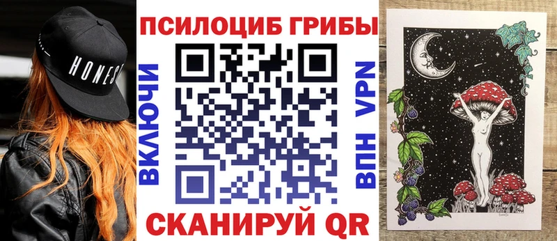 Псилоцибиновые грибы мицелий Щёлкино